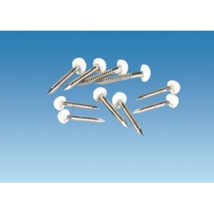 CWS 2119 White Decadome 20mm Window Capping Pins