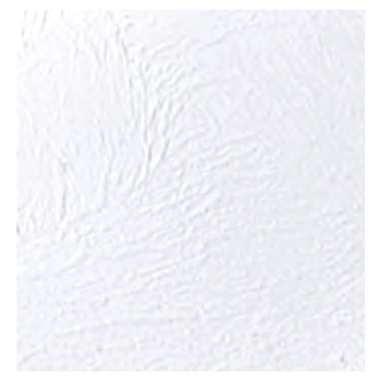 White Lopez Wallboard